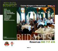 Diseño de Páginas Web y Diseño Gráfico en Alicante y Elche